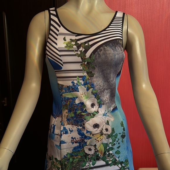 Clover Canyon printed fit and flare scuba knee dress S - Picture 4 of 14